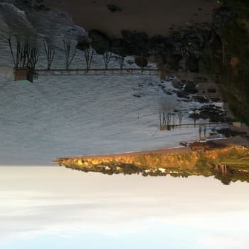 Profil de Lyna, 43 ans, Rencontre célibataire à Brienzwiler (Berne)