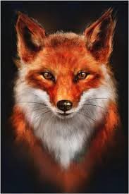 Profil de Zakarya, 38 ans, Rencontre célibataire à Nidau (Berne)