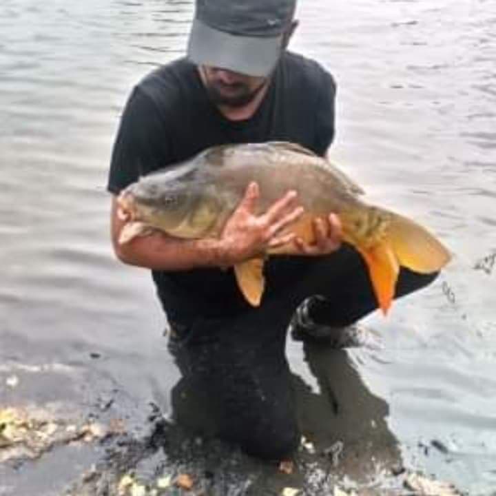 Profil de Hasan, 36 ans, Rencontre célibataire à Campora (Tessin)