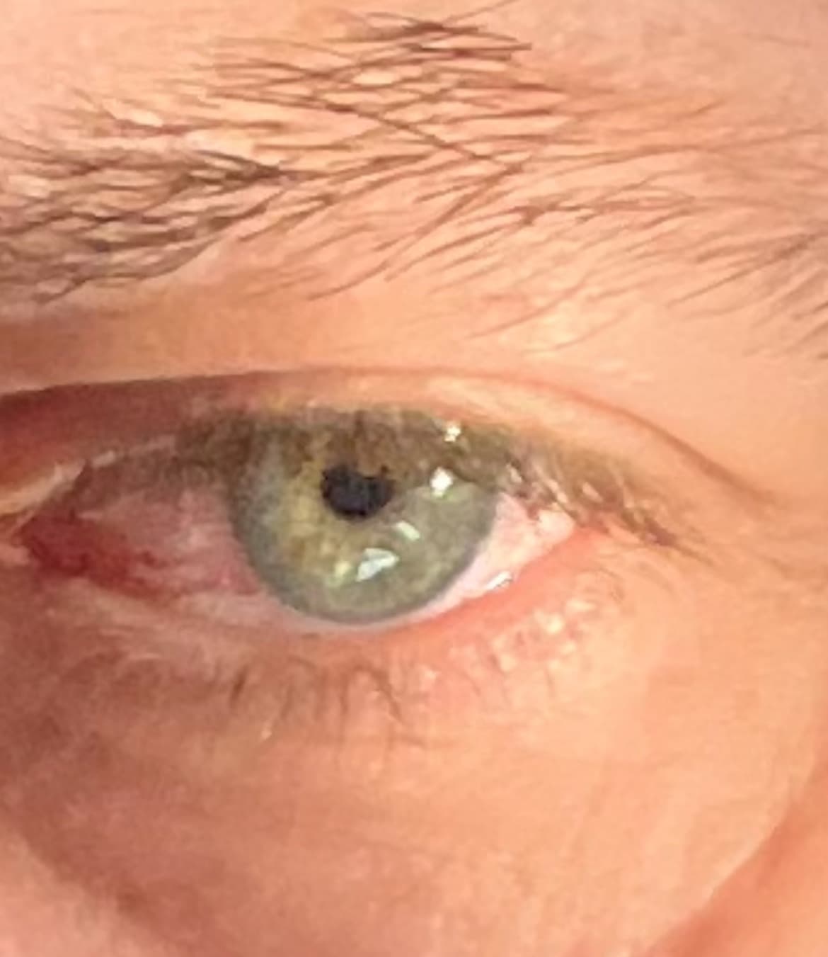 Profil de Pavel, 39 ans, Rencontre célibataire à Fresens (Neuchâtel)